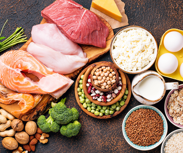 The Role of Protein in Weight Loss – LifeSpan Europe